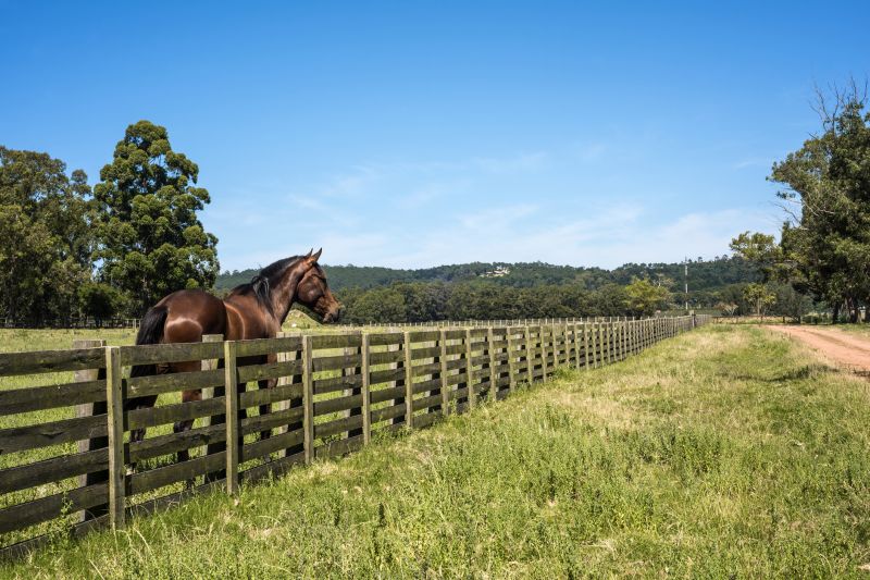 Stable Fencing Installation in Pearland, TX